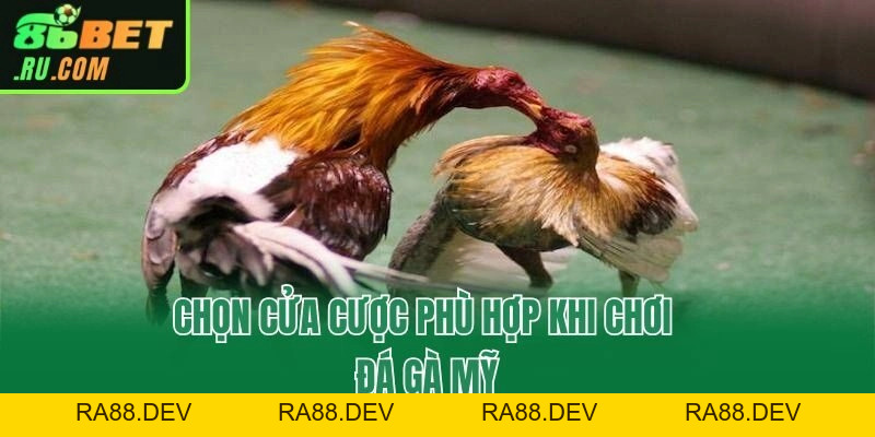 Khám Phá Đá Gà Mỹ Tại 86bet Và Những Mẹo Hay Từ Chuyên Gia