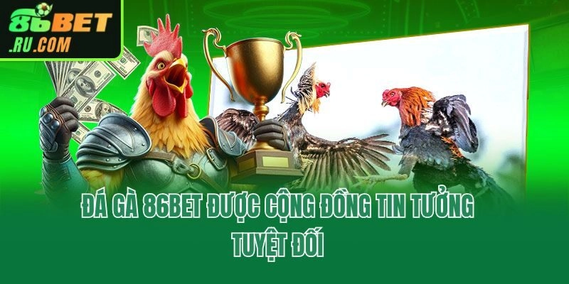 Đá Gà 86bet - Xem Trực Tiếp Full HD, Săn Thưởng Mỗi Ngày