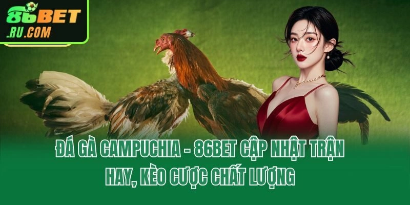 Đá Gà 86bet - Xem Trực Tiếp Full HD, Săn Thưởng Mỗi Ngày
