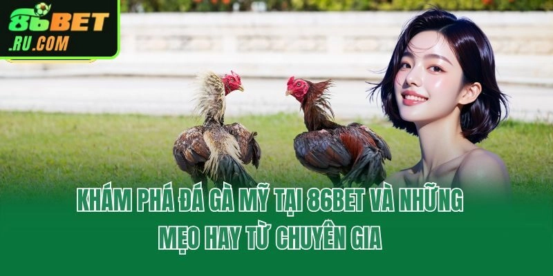 Đá Gà 86bet - Xem Trực Tiếp Full HD, Săn Thưởng Mỗi Ngày