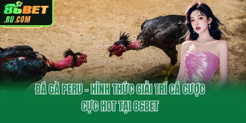 Đá Gà 86bet - Xem Trực Tiếp Full HD, Săn Thưởng Mỗi Ngày