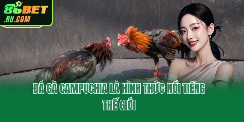Đá Gà Campuchia - 86bet Cập Nhật Trận Hay, Kèo Chất Lượng