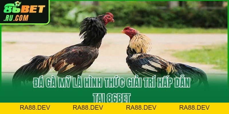 Khám Phá Đá Gà Mỹ Tại 86bet Và Những Mẹo Hay Từ Chuyên Gia