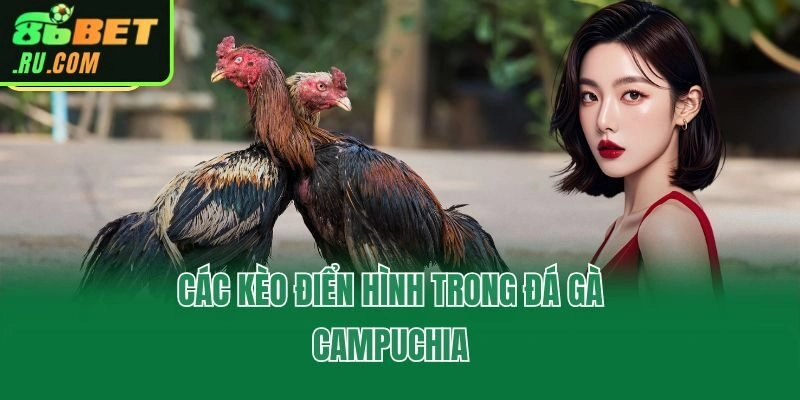 Đá Gà Campuchia - 86bet Cập Nhật Trận Hay, Kèo Chất Lượng
