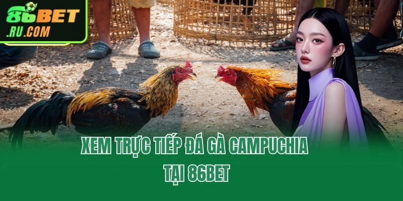 Đá Gà Campuchia - 86bet Cập Nhật Trận Hay, Kèo Chất Lượng
